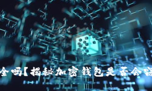 加密钱包安全吗?揭秘加密钱包是否会窃取用户私钥