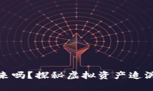 虚拟币能追回来吗?探秘虚拟资产追溯与保障的关键