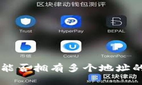 Tokenim:能否拥有多个地址的深入剖析