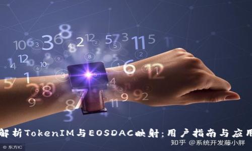 深入解析TokenIM与EOSDAC映射:用户指南与应用场景