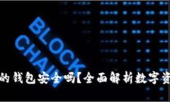 存虚拟币的钱包安全吗？全面解析数字