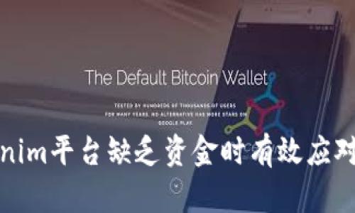 如何在Tokenim平台缺乏资金时有效应对与解决方案