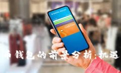 加密货币钱包的前景分析：机遇与挑战