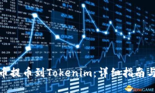 如何将屎币提币到Tokenim:详细指南与操作步骤