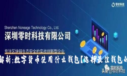 全面解析:数字货币使用什么钱包?选择最佳钱包的指南