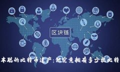 :中本聪的比特币遗产：他究竟拥有多