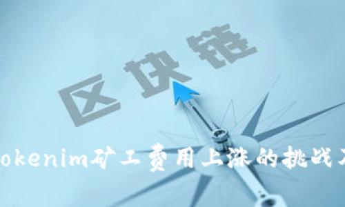 如何应对Tokenim矿工费用上涨的挑战及解决方案