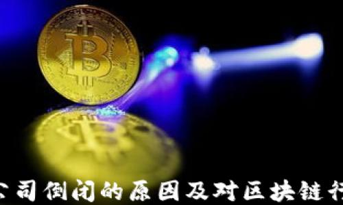Tokenim公司倒闭的原因及对区块链行业的影响