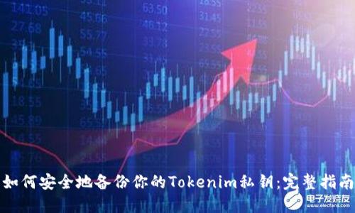 如何安全地备份你的Tokenim私钥:完整指南