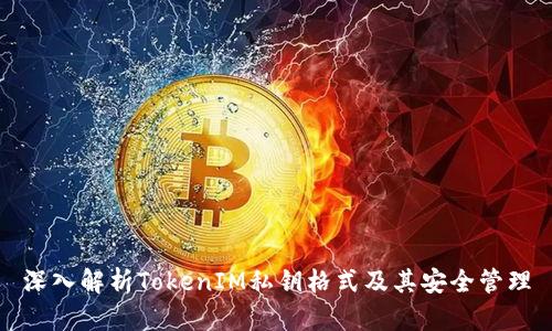 深入解析TokenIM私钥格式及其安全管理