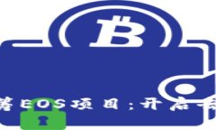 如何通过Tokenim众筹EOS项目：开启去中