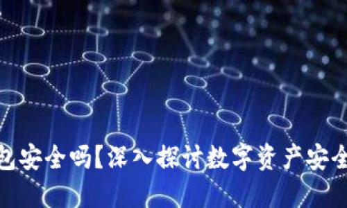 OwnCoin钱包安全吗？深入探讨数字资产安全与用户需求