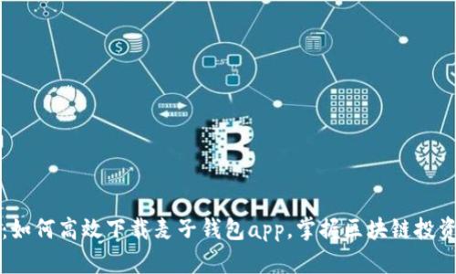 一步到位：如何高效下载麦子钱包app，掌握区块链投资的第一步