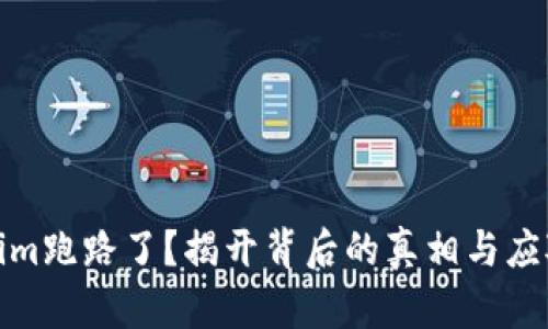 Tokenim跑路了？揭开背后的真相与应对策略