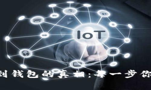 虚拟币提取到钱包的真相：每一步你都不可忽视！