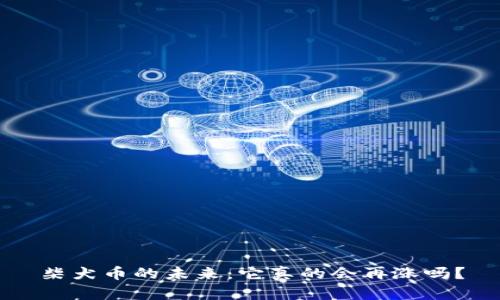 柴犬币的未来：它真的会再涨吗？