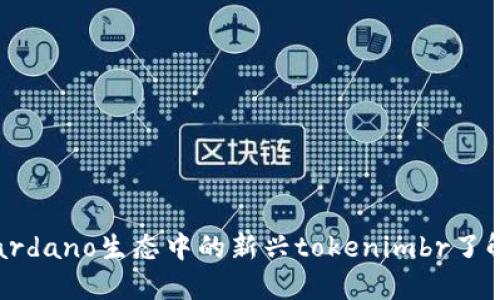 艾达币：探索Cardano生态中的新兴tokenimbr了解其潜力与挑战