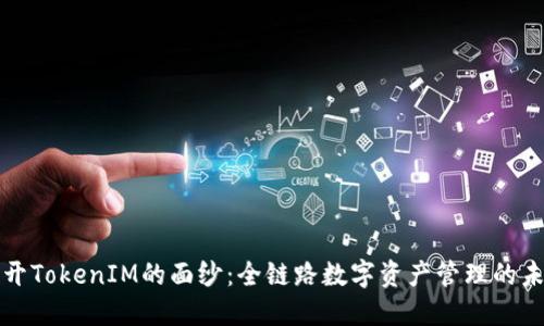 揭开TokenIM的面纱：全链路数字资产管理的未来