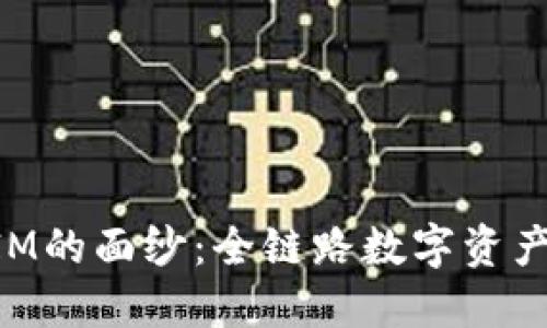 揭开TokenIM的面纱：全链路数字资产管理的未来