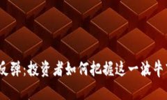 数字货币反弹：投资者如何把握这一波