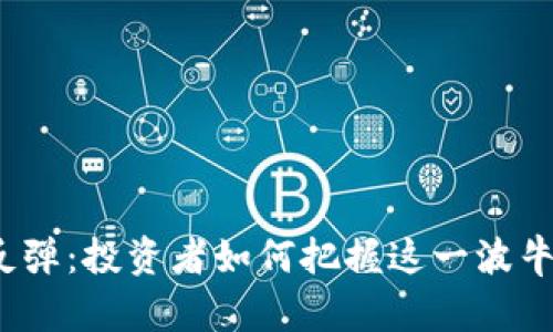 数字货币反弹：投资者如何把握这一波牛市的机会？