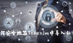 如何安全地在Tokenim中导入私钥？