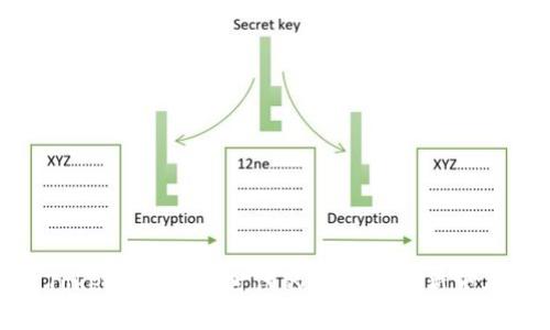 Tokenim：数字时代的资产管理新宠儿
