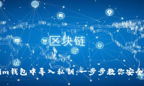 如何在Tokenim钱包中导入私钥：一步步教你安全管理数字资产