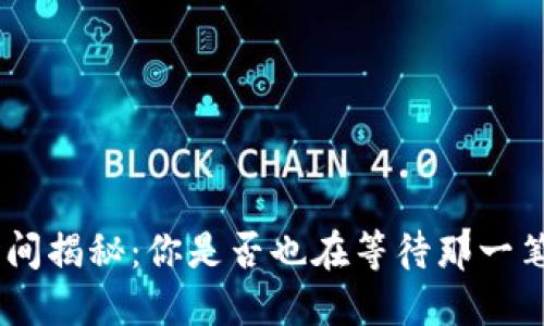 TRC20提币到账时间揭秘：你是否也在等待那一笔神秘的数字资产？