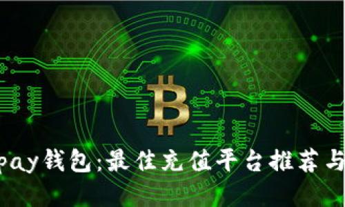 探索808pay钱包：最佳充值平台推荐与使用指南