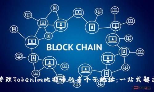 如何管理Tokenim比特币的多个子地址：一站式解决方案