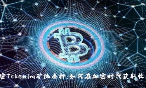 解密Tokenim矿池质押：如何在加密时代获取收益？