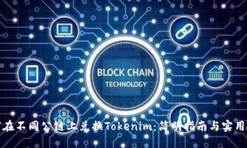 如何在不同公链上兑换Tokenim：简明指南与实用技巧