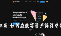 区块链钱包识别：如何在数字资产海洋