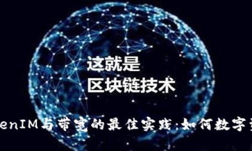 解读TokenIM与带宽的最佳实践：如何数字资产管理