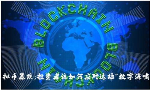 虚拟币暴跌：投资者该如何应对这场“数字海啸”？