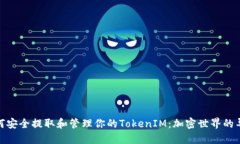 如何安全提取和管理你的TokenIM：加密