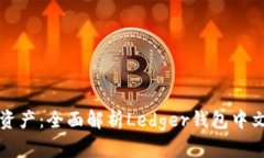 掌握您的数字资产：全面解析Ledger钱包