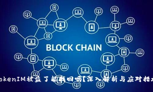 TokenIM被盗了能找回吗？深入解析与应对措施