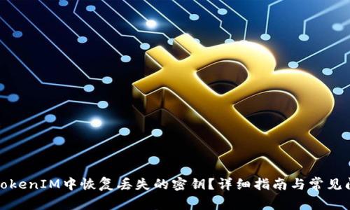 如何在TokenIM中恢复丢失的密钥？详细指南与常见问题解答