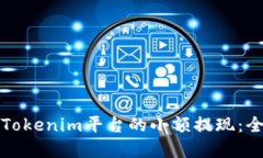 如何实现Tokenim平台的小额提现：全方