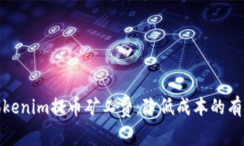 如何Tokenim提币矿工费：降低成本的有效策略