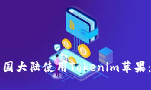 如何在中国大陆使用Tokenim苹果：全面指南