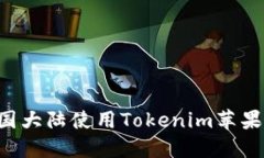 如何在中国大陆使用Tokenim苹果：全面