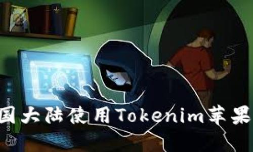 如何在中国大陆使用Tokenim苹果：全面指南