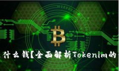 Tokenim是什么钱？全面解析Tokenim的价值