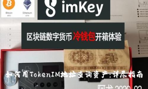 如何用TokenIM地址查询资产：详尽指南