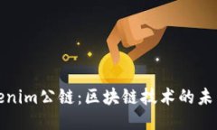 链通Tokenim公链：区块链技术的未来与