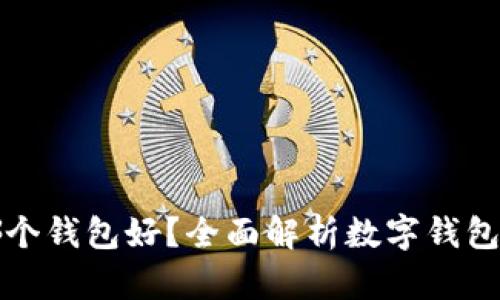 数字货币存哪个钱包好？全面解析数字钱包的选择与使用