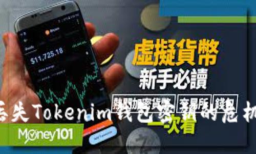 如何处理丢失Tokenim钱包密钥的危机：全面指南